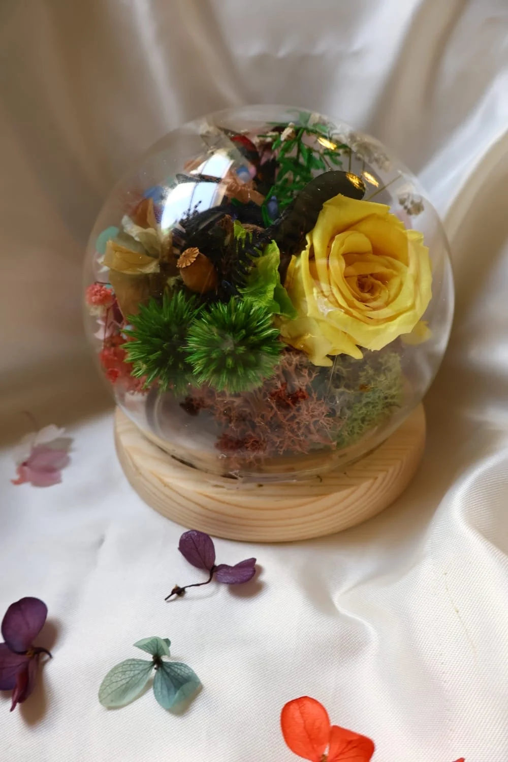 Bell jar stabilized flower/ interior decoration