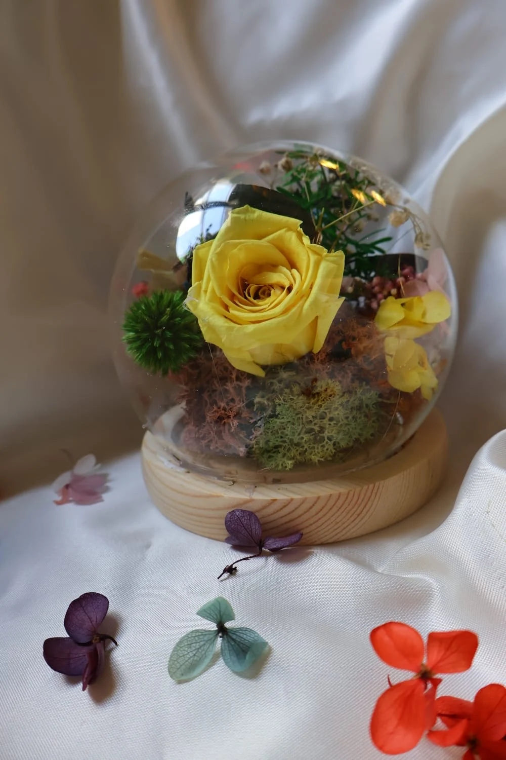 Bell jar stabilized flower/ interior decoration