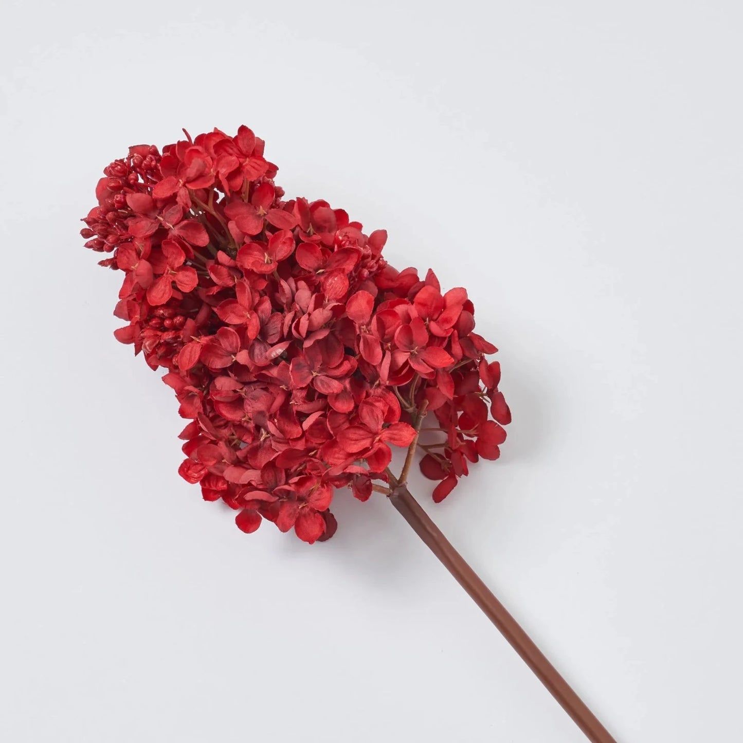 Preserved Hydrangea paniculata berry red, jewelry tool, Resin DIY,  home decoration