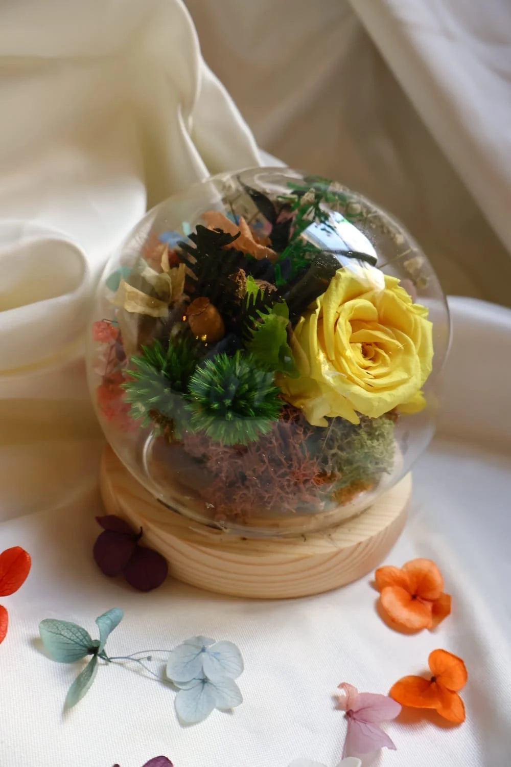 Bell jar stabilized flower/ interior decoration