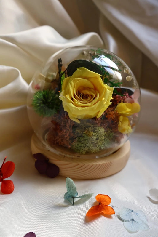 Bell jar stabilized flower/ interior decoration