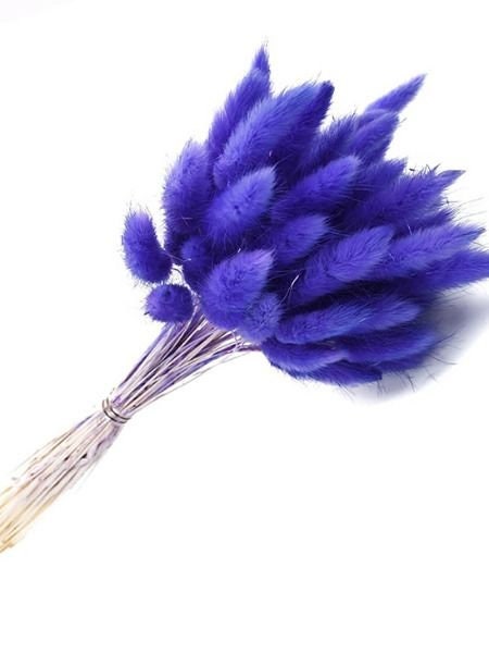 Dried mini pampas; lagurus ovatus, queue de lapin purple, dark violet