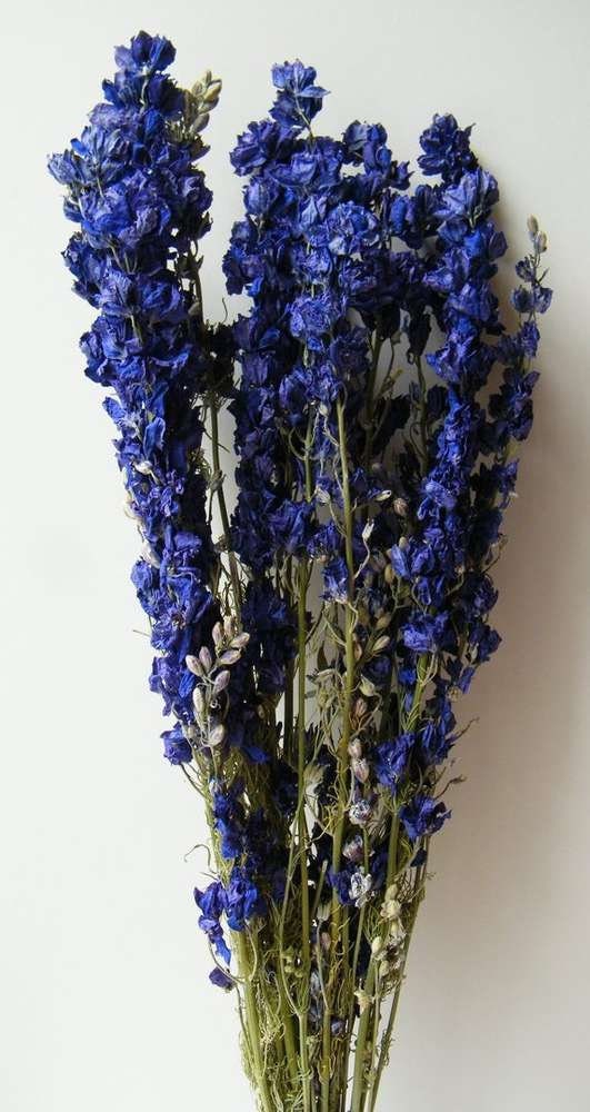 Delphium laskpur lilas bunch, violet bunch 100g, dried flower, composition floral