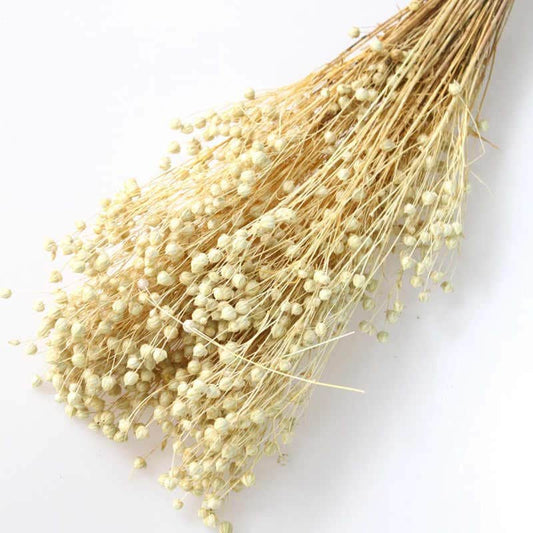 Bleached flax linum 100g per bunch, linum grass, interior decoration