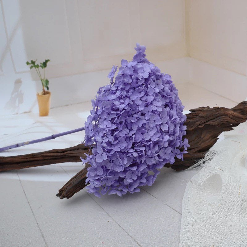 Preserved Hydrangea big size 20-23cm light violet gradient color, DIY, Resin