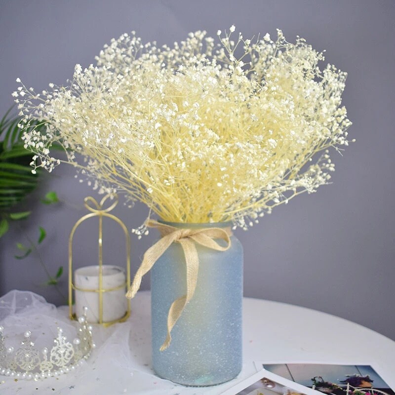 Preserved baby breath Gypsophile 100g bunch, white bouquet, dried white rustic flower, misty flower