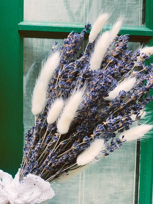 Bouquet lagurus blanc mix true lavender Provence, composition florale, gift, lavender queue de lapin seche