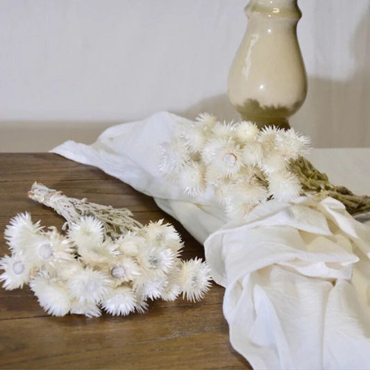 Chrysantheme bleached 50g/bunch, white bunch for decoration, French immortelle