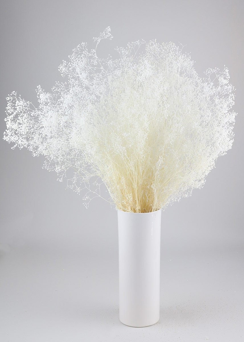 Preserved baby breath Gypsophile 100g bunch, white bouquet, dried white rustic flower, misty flower