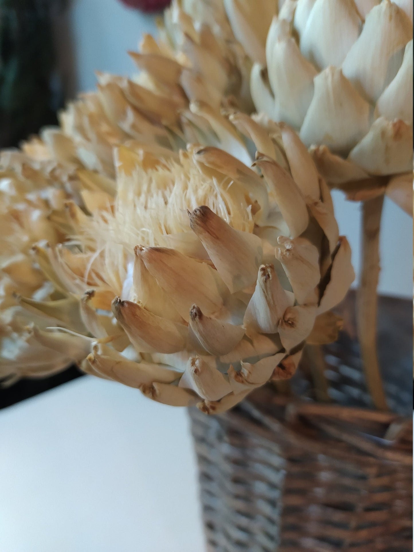 Dried artichoke natural flower, rustic decoration