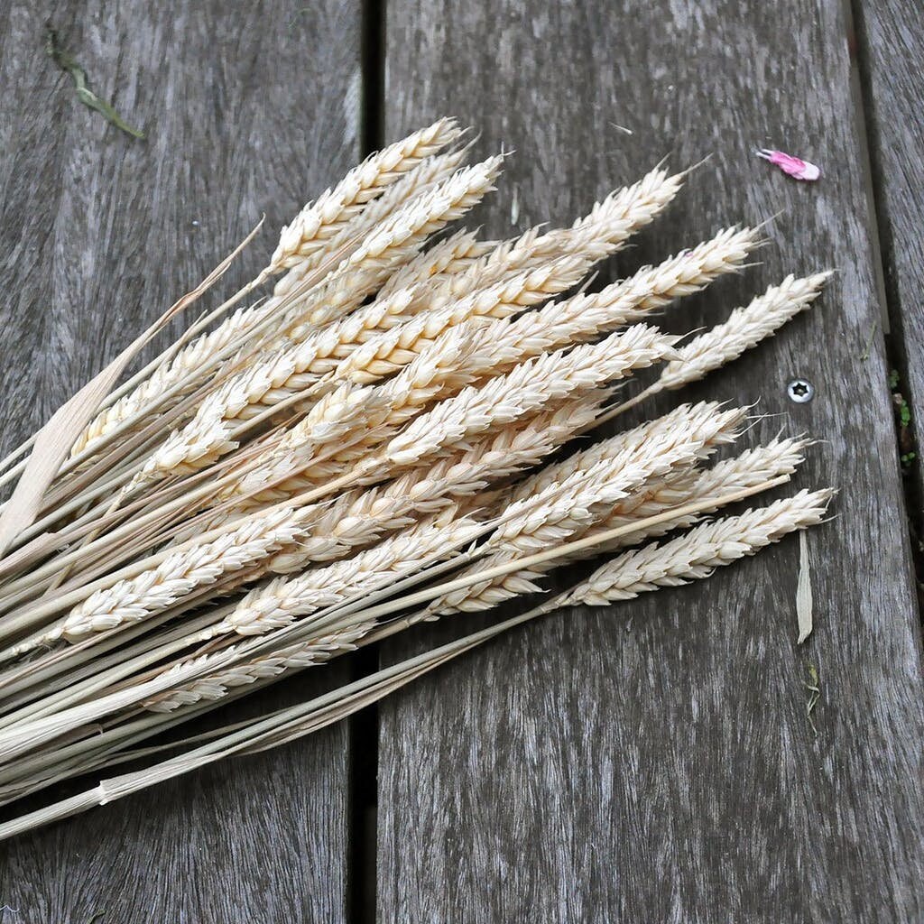 Dried wheat bunch, ble, bouquet, home decor 120g 60 branches