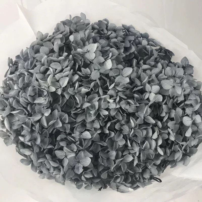 Preserved hydrangea grey gradient D20cm