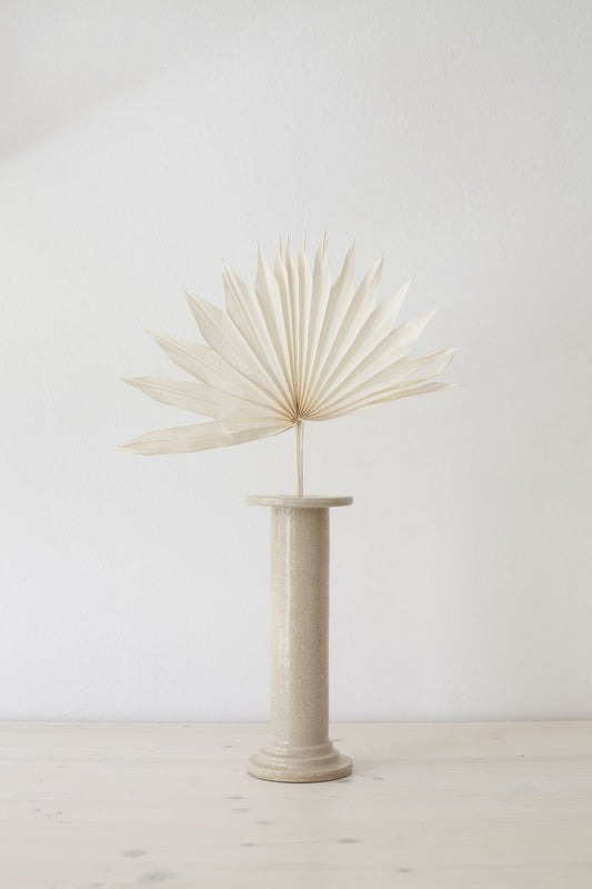 x6 branches Dried mini sun palm leave bleached, white sun palm, rustic decoration