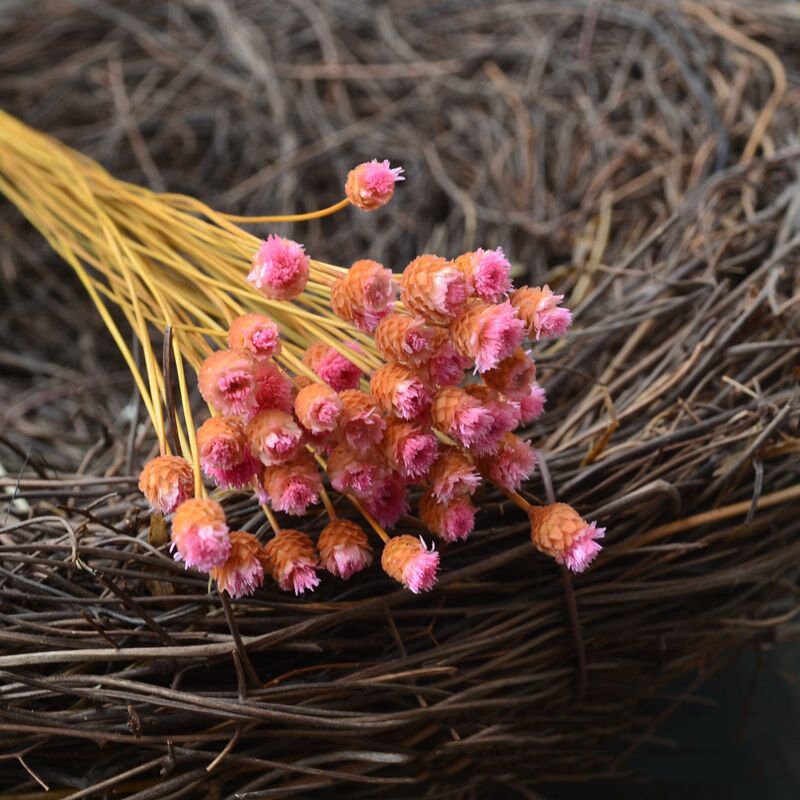 60 pc mini bunch happy flower, jazilda, straw flower dried flower, rustic decoration, handmade, resin DIY flower