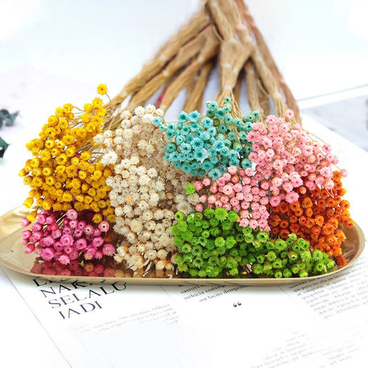 60 pc mini bunch happy flower, jazilda, straw flower dried flower, rustic decoration, handmade, resin DIY flower