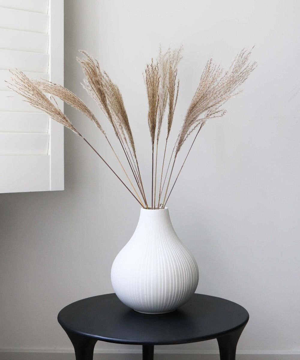 x10 stems Miscanthus natural, mini pampa, silver grass grey taupe