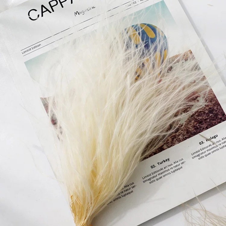 Dried stipa natural , wispy grass, feather grass