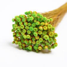 60 pc mini bunch happy flower, jazilda, straw flower dried flower, rustic decoration, handmade, resin DIY flower