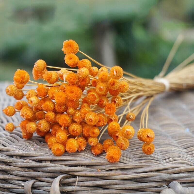 60 pc mini bunch happy flower, jazilda, straw flower dried flower, rustic decoration, handmade, resin DIY flower