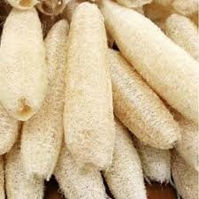 x5 Dried bleached natural loofah, decoration, DIY tool