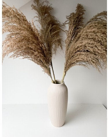 x3 Pampas brune fluppy 50cm