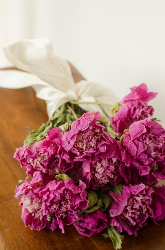 Bunch of medium pink dried peonies, pink peonies, dark pink peonies, dried peonies, pink dried flowers, pink flowers, pink peony