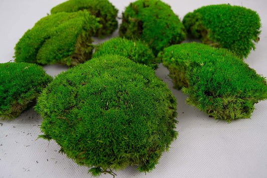 Preserved moss ball forest green, moss art, wall moss, DYI tool, decoration interieur