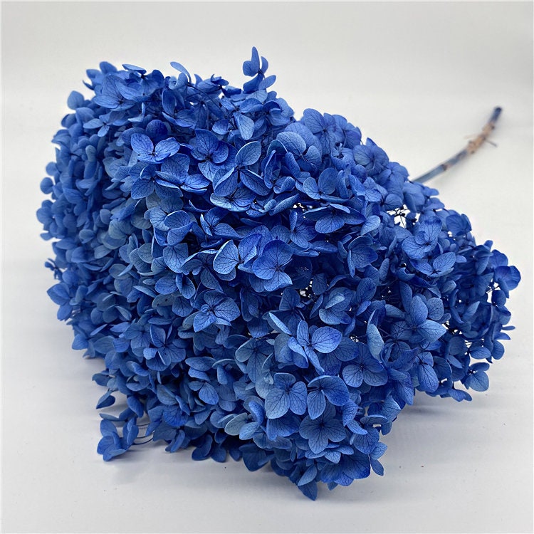 Preserved hydrangea dark sky blue, hortensia, preserved flower, resin, DIY jewelery, home decoration