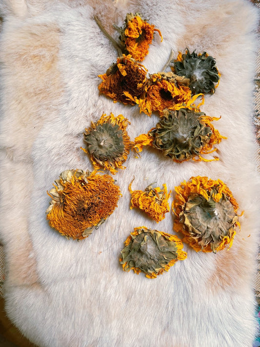 x10 tête de tournesol, DIY tool, dried sunflower head