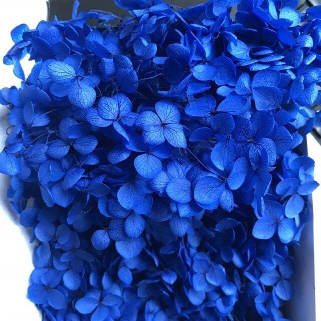 Preserved hydrangea dark sky blue, hortensia, preserved flower, resin, DIY jewelery, home decoration