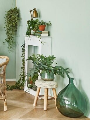 XXL Dame jeanne 54L style Demijohn carboy vert moss, antique vase 1950s, vintage vase