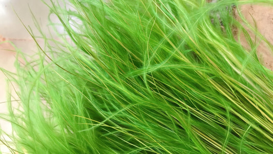 Dried stipa green dyed color, wispy grass, feather grass 60-70g per bunch