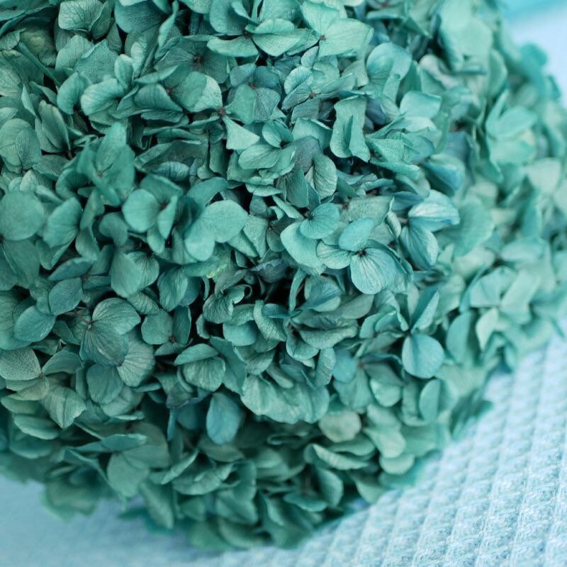 Preserved hydrangea Blue mint color