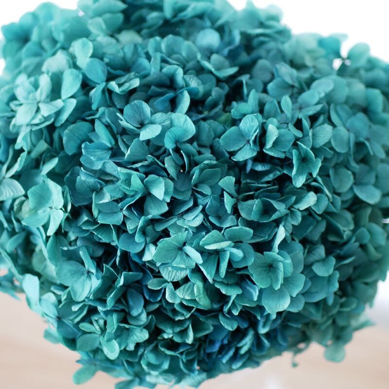 Preserved hydrangea Blue mint color