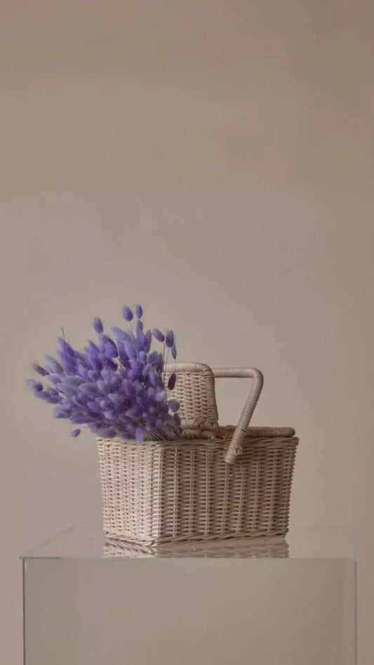 Lagurus ovatus violet, rabbit taille, queue de lapin, mini pampas dried bunch