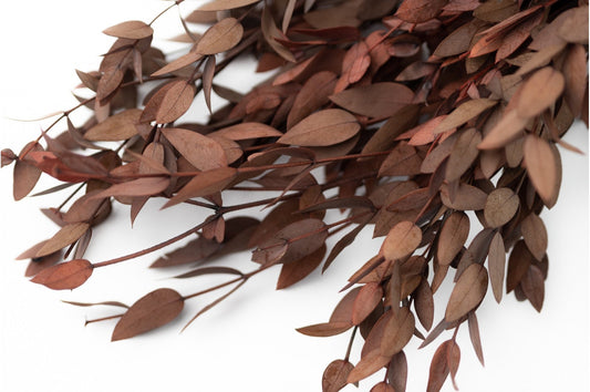 Preserved eucalytus parvifolia red 120g, preserved foliage, preserved leaf