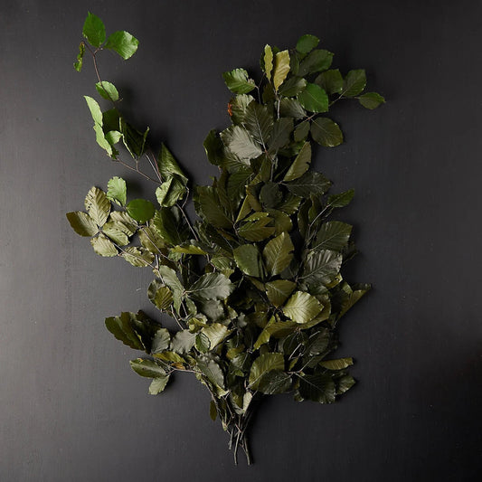 Preserved beech leave green, hanging decoration, wall interior decoration 40-50cm 100-120g/bunch