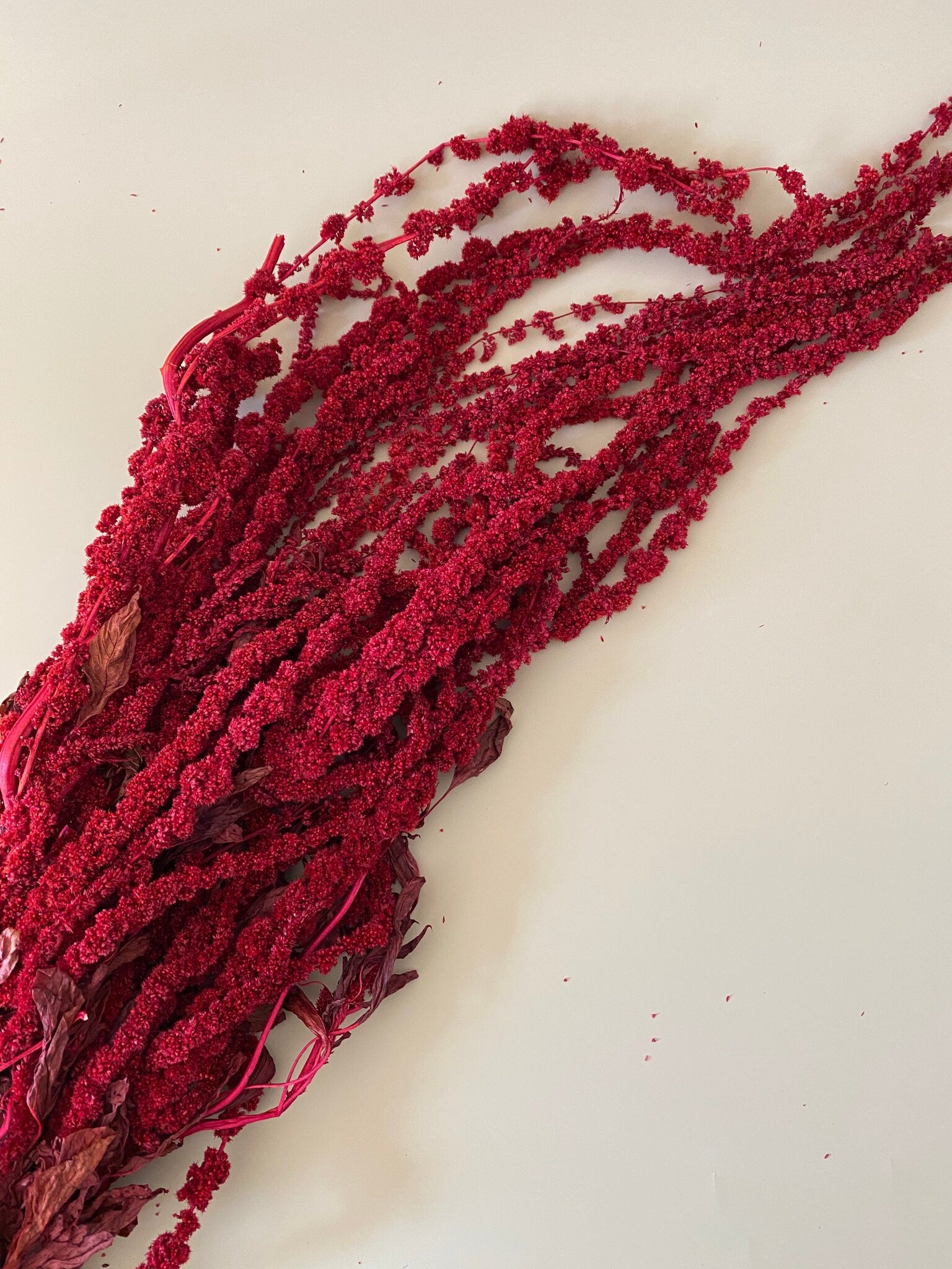 Hanging amaranthus red color - 6 -7 stems/ preserved flower, amaranthe preserve, wall decoration, home decor Length 70- 100cm