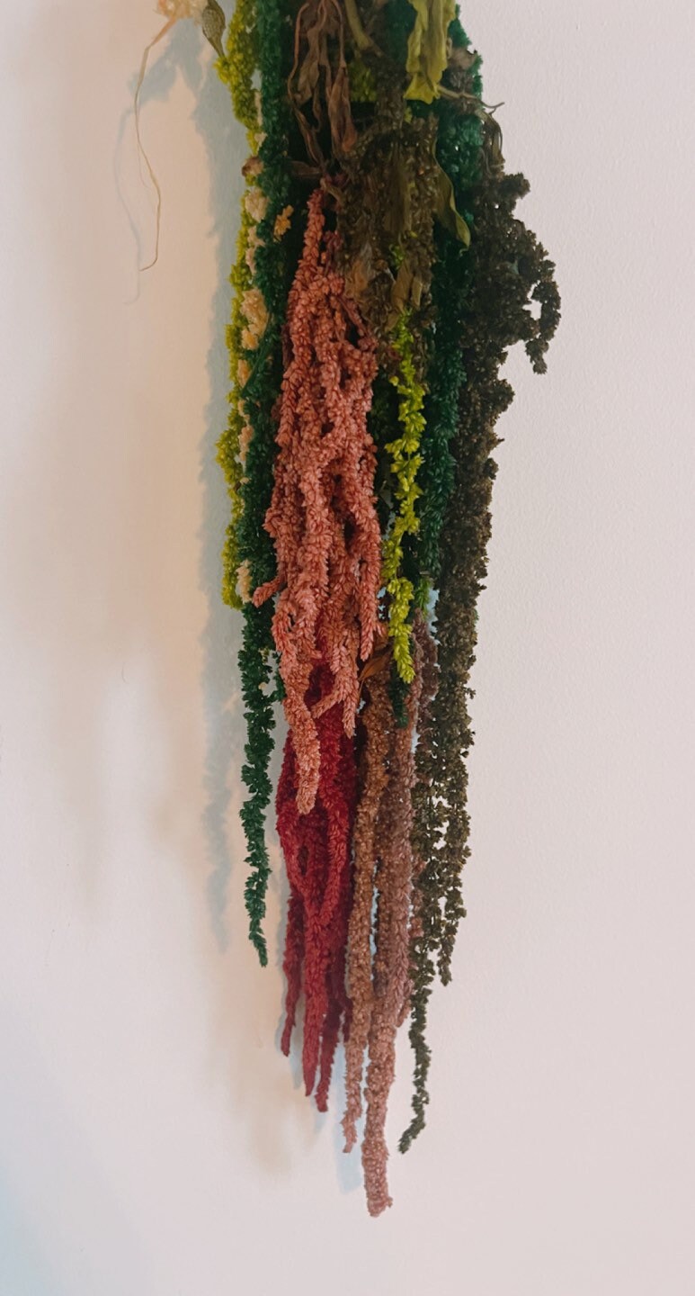 Mini mix color Hanging amaranthus , wall decor, ceiling decoration H30cm