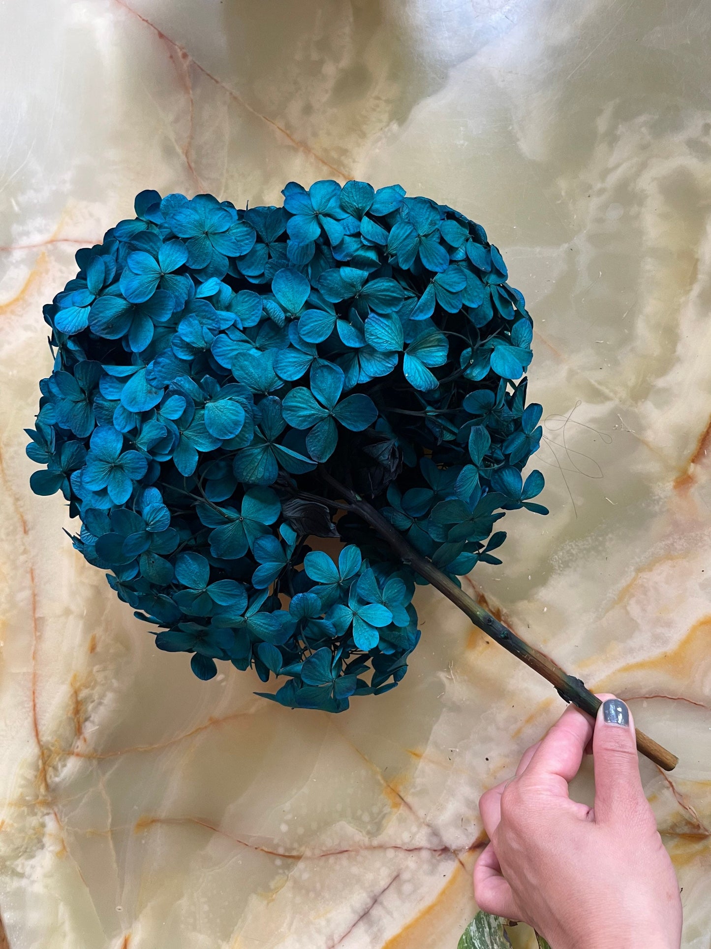 Big petal Peacock dark blue preserved hydrangea, DIY bijoux, Hortensia, Resin, handcraft, home decoration