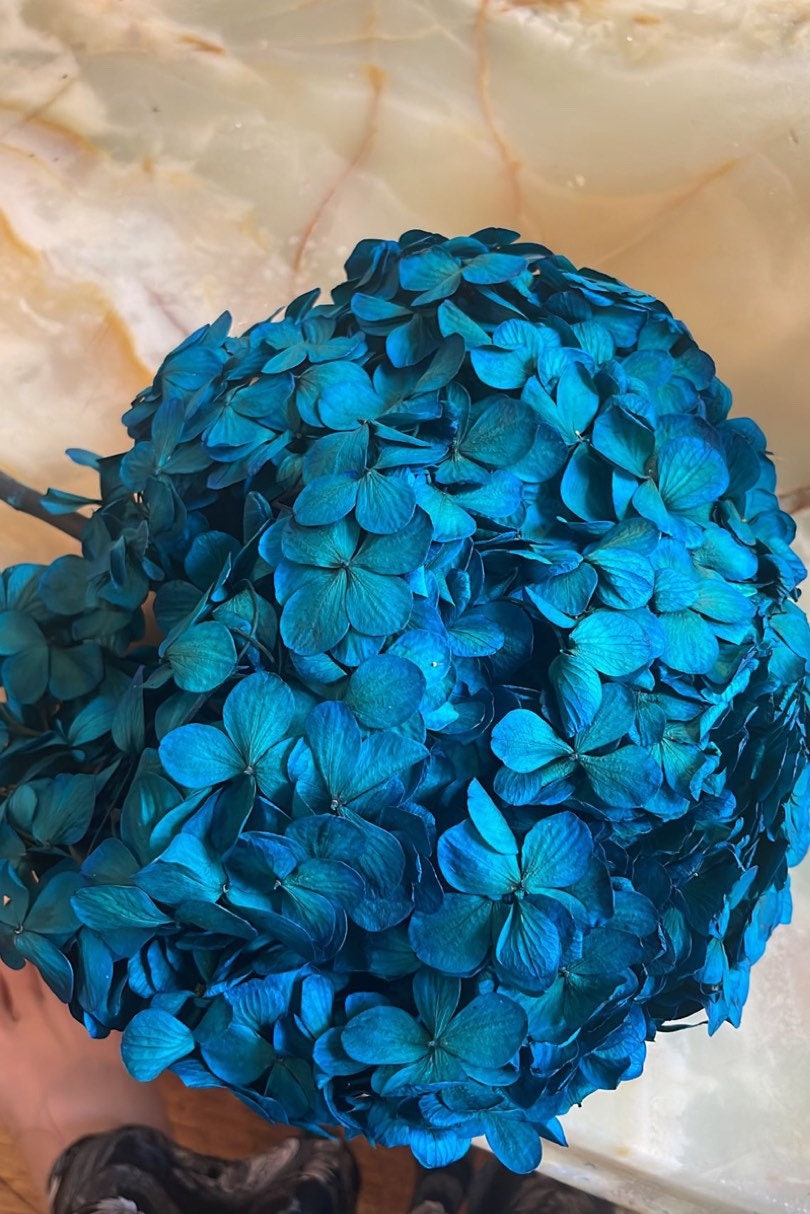 Big petal Peacock dark blue preserved hydrangea, DIY bijoux, Hortensia, Resin, handcraft, home decoration