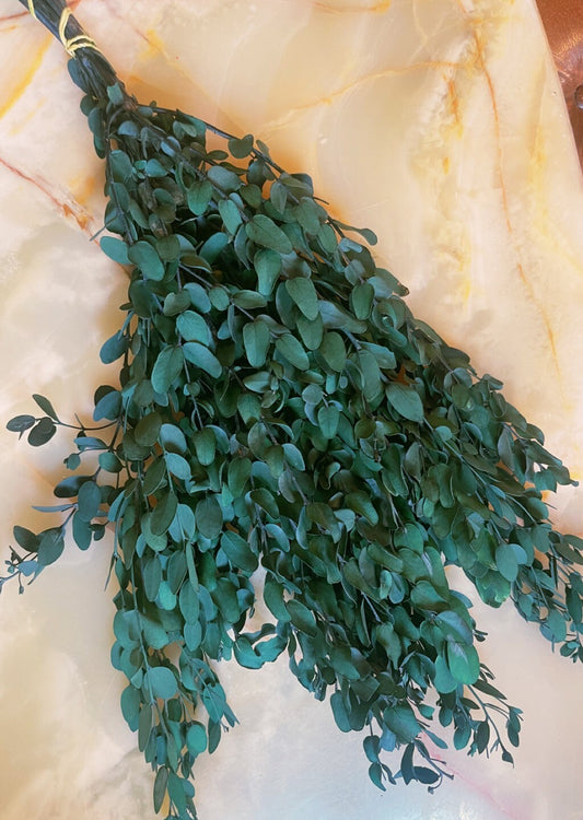 Preserved eucalytus gunii green, preserved leaf, preserved foliage