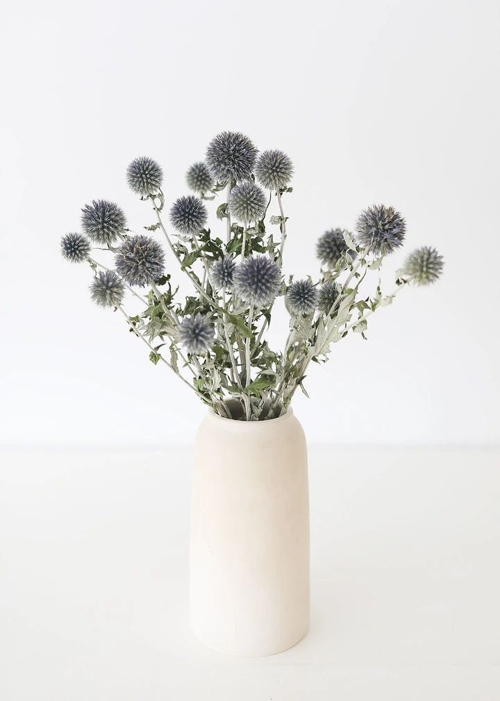 Blue thistle echinop natural color, dried eryngium, dongly flower, thistle natural 120G-140g