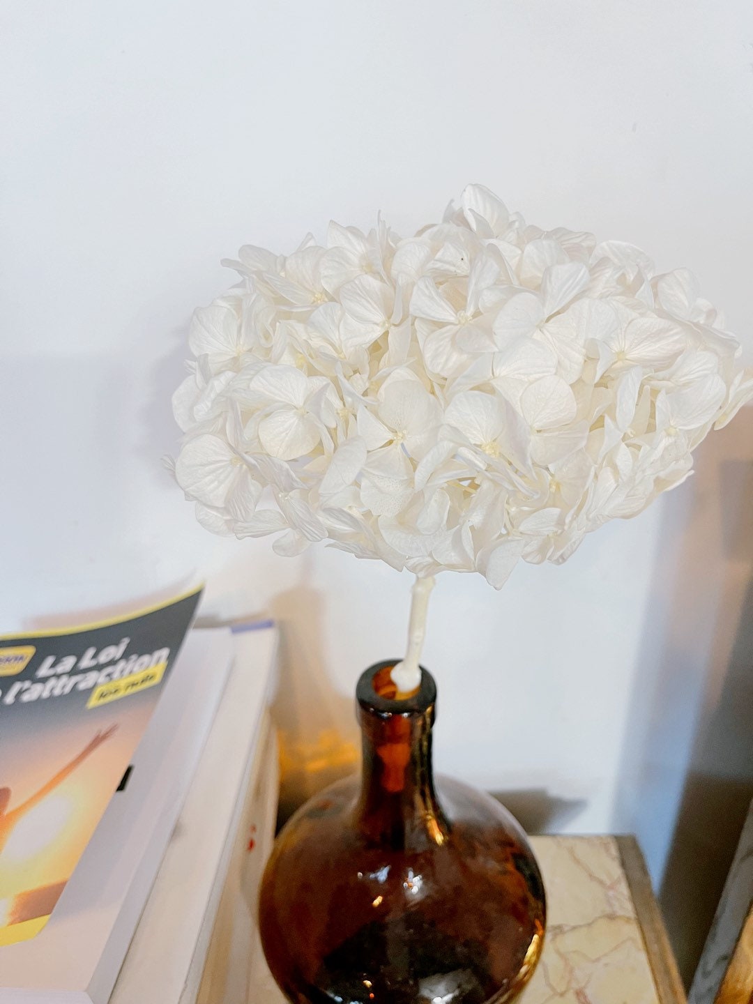 Big petal white bleached Preserved hydrangea, hortensia, bridalflower, jewelery tool