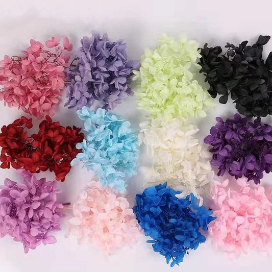 Different choice 5g preserved hydrangea, preserved flower DYI for resin epoxy, Hortensia, DYI resin