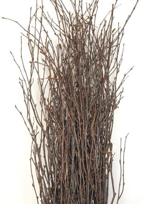 Birch branches twigs birch, wedding birch twigs wedding centerpiece decorative real