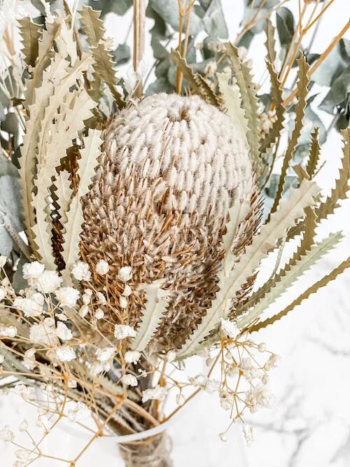 BRUT rustic bunch, eucalyptus mix australien banksia, interior decoration DYI