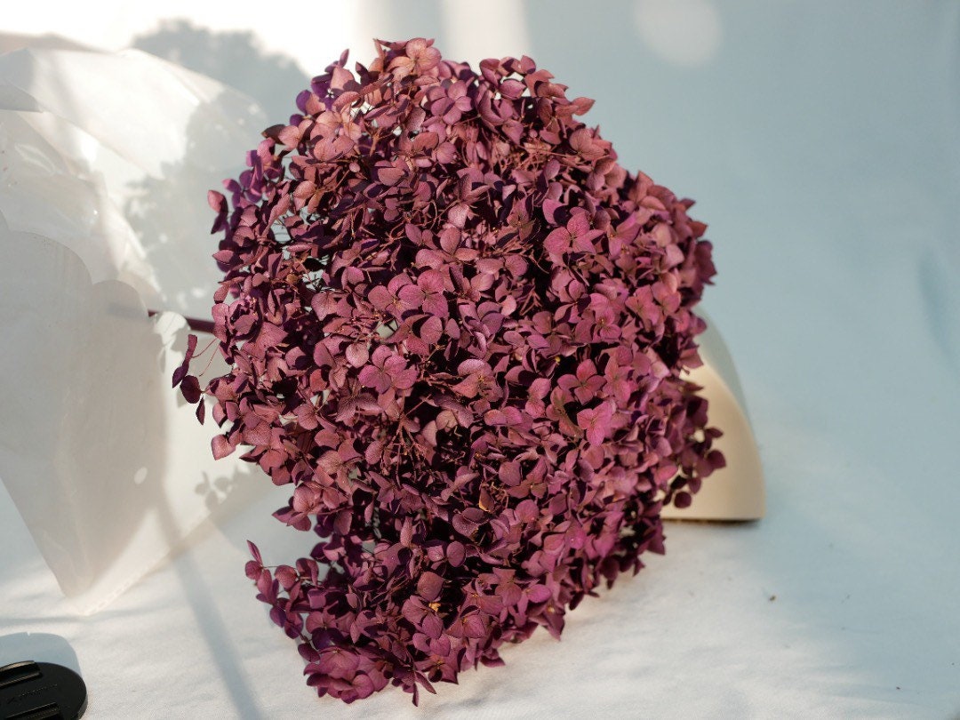 Preserved Hydrangea big size 20-23cm dark violet gradient color, DIY, Resin