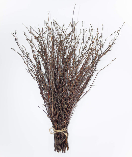 Birch branches twigs birch, wedding birch twigs wedding centerpiece decorative real