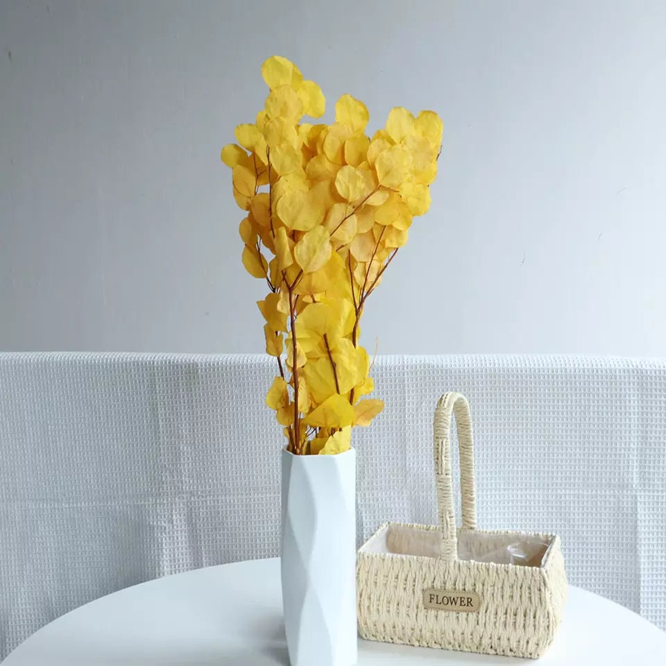 Preserved Eucalytus populus autumne gradient yellow mix orange color 100-120g/bunch, preserved leaf, preserved foliage